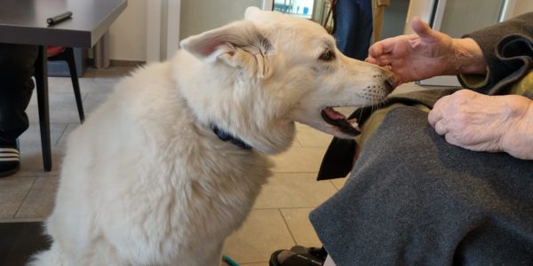 Seelsorge mit Hund: Im Altersheim sehnen sich die Menschen nach Nähe